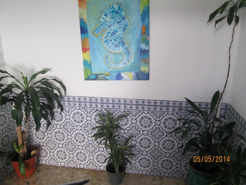 Guest House Pacifica 奎特里拉 外观 照片
